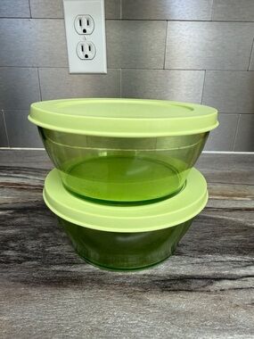 Tupperware Bowl (2)